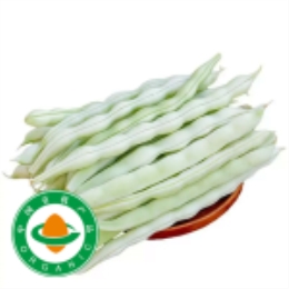 【应季头茬】白玉豆角（豇豆400g）-上海