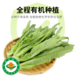 油麦菜400g-上海