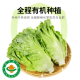 意大利生菜400g-上海