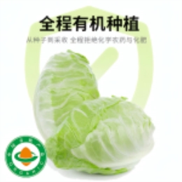 牛心甘蓝400g-上海