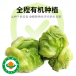 半结球生菜400g-上海
