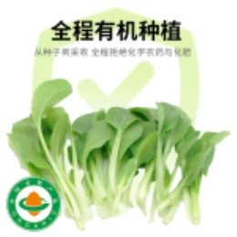 鸡毛菜400g-上海