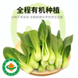小青菜400g-上海