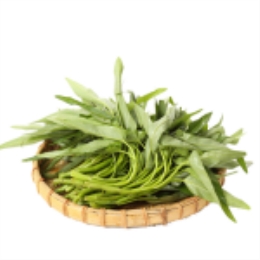 【春日限定】空心菜400g-上海
