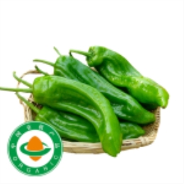 微辣泡椒400g-上海