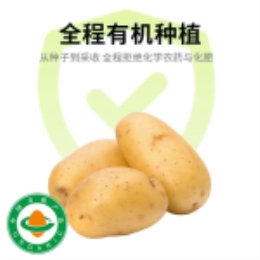 有机土豆500g-上海