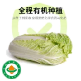 有机娃娃菜400g-上海