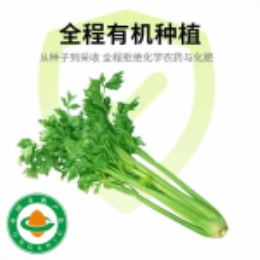 美芹400g-上海