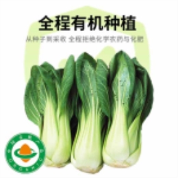 【丑蔬菜】虫眼太湖青400g-上海