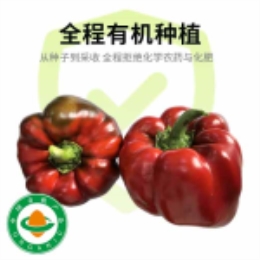 青红相伴圆甜椒400g-上海