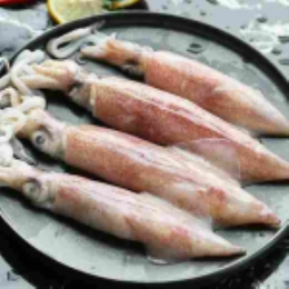 【现捕直发】海钓大管鱿鱼400g*3-上海