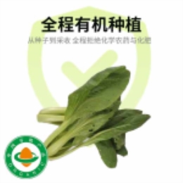 虫眼蔬菜-崇明青(400g)-上海