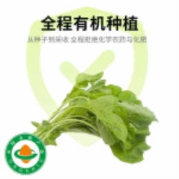 白米苋(400g)-上海