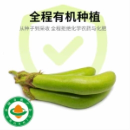 【周末买一赠一】绿茄子400g-上海