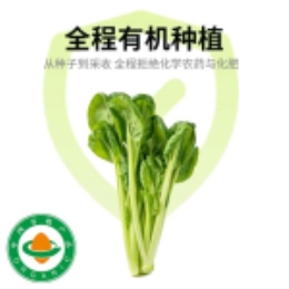 幼叶塌菜400g-上海
