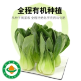 崇明青400g-上海