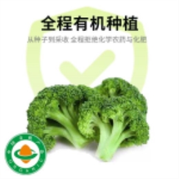 有机西兰花300g-上海
