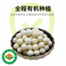 【水八仙】有机现剥鲜鸡头米100g-上海