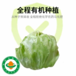 有机水果甘蓝500g-上海