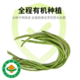 【新季鲜享】长豇豆400g-上海