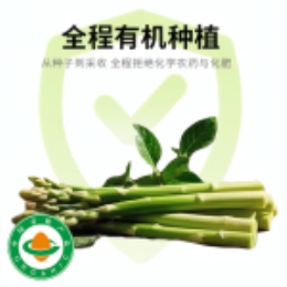 有机芦笋直发1000g-上海