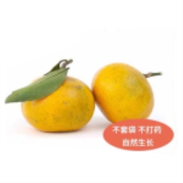 崇明花皮桔500g-上海