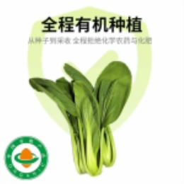 【崇明时令】太湖青400g-上海