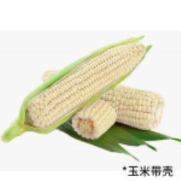 新鲜白糯玉米3斤装-上海