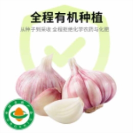 蒜头180g-上海