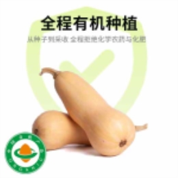 奶油南瓜500g-上海
