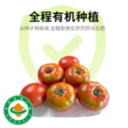 传家宝草莓番茄家庭装（3斤装）直发-上海