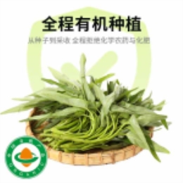 【春日限定】空心菜400g-上海