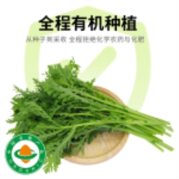 小叶茼蒿400g-上海