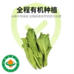幼叶意大利生菜250g-上海
