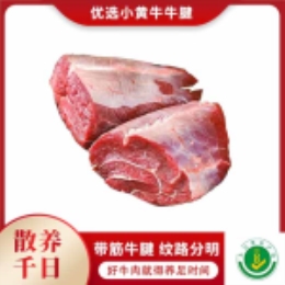 优选小黄牛牛腱500g-上海