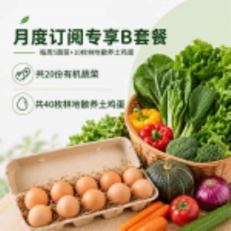 月度订阅专享A2套餐-上海