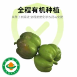 圆甜椒400g-上海