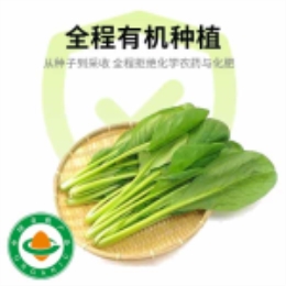 清秀油菜(300g)-上海