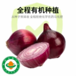 紫洋葱(500g)-上海