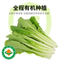 杭白菜400g-上海