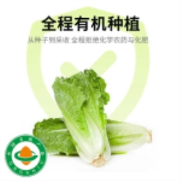 有机脆嫩意大利生菜250g-上海