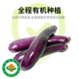 紫茄子400g-上海