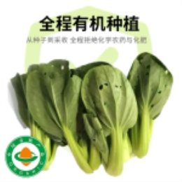 西山青菜400g-上海