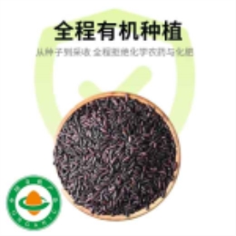 有机紫米380g-上海