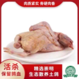 【散养千日】慢炖4小时崇明老鸽400g-上海