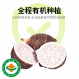 有机荔浦毛芋头1.5kg直发-上海