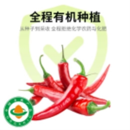 有机小米辣椒（红）50g-上海