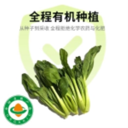 有机上海小青菜250g-上海