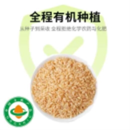 有机糙米389g-上海