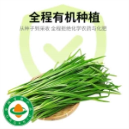 有机韭菜250g-上海